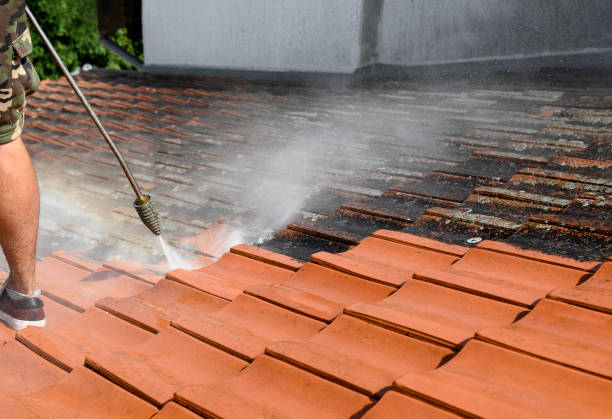 Pressure Washing Contractors in Holiday, FL
