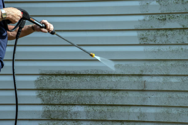 Best Pressure Washing Company Near Me  in Holiday, FL