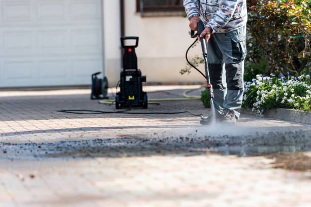 Best Local Pressure Washing Services  in Holiday, FL