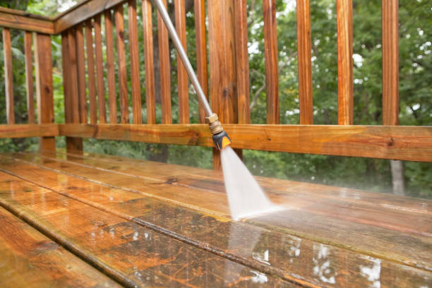 Best Local Pressure Washing Services  in Holiday, FL