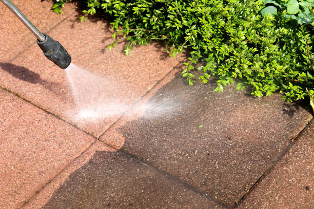 Best Roof Power Washing Services  in Holiday, FL